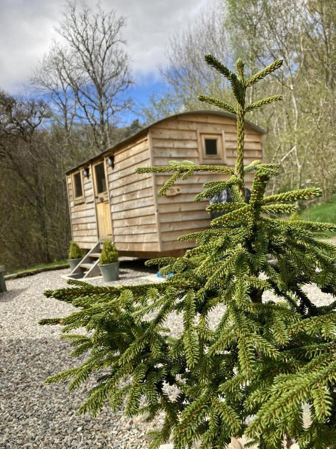 Highland Bear Lodge & Luxury Bear Huts Дръмнадрочит Екстериор снимка