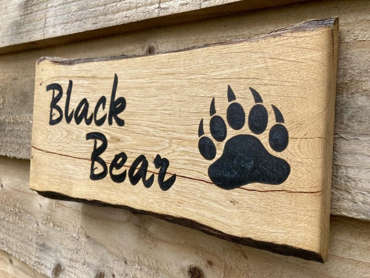 Highland Bear Lodge & Luxury Bear Huts Дръмнадрочит Екстериор снимка