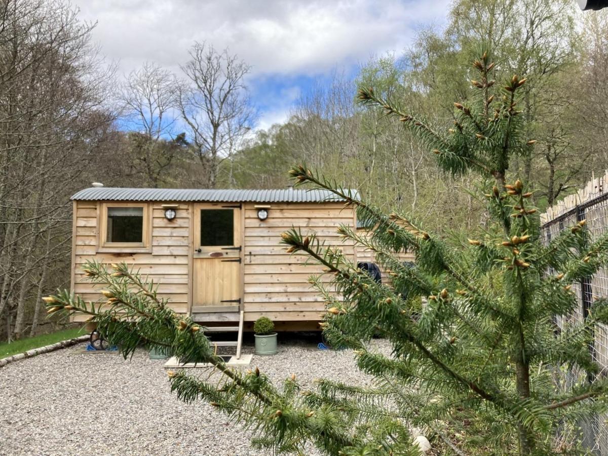 Highland Bear Lodge & Luxury Bear Huts Дръмнадрочит Екстериор снимка