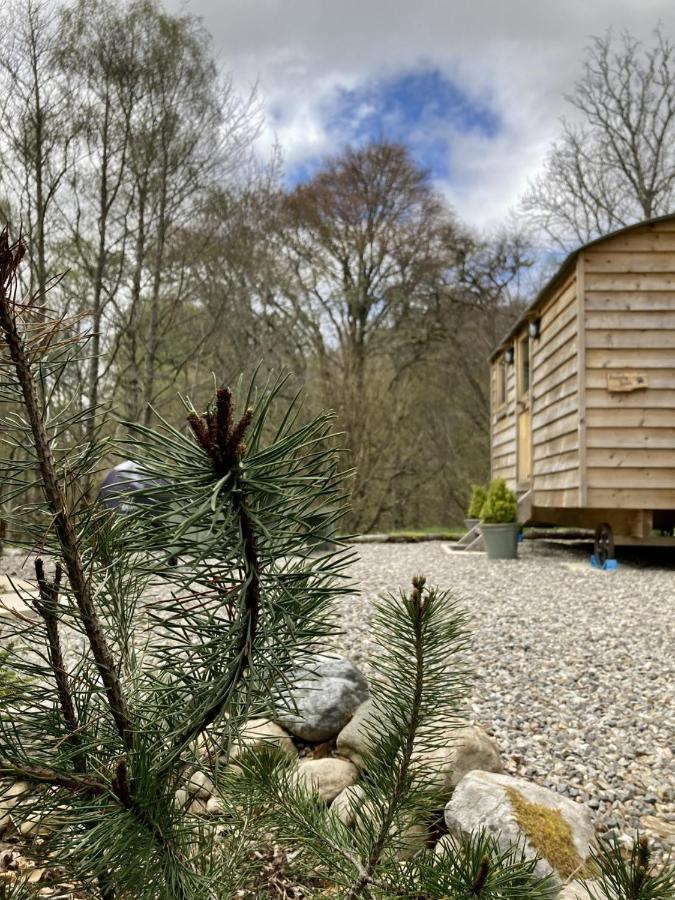 Highland Bear Lodge & Luxury Bear Huts Дръмнадрочит Екстериор снимка