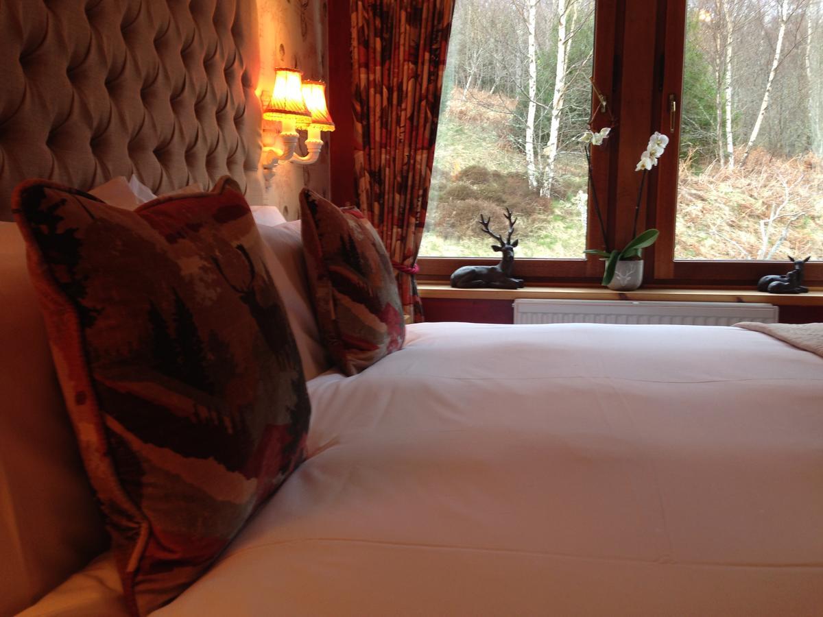 Highland Bear Lodge & Luxury Bear Huts Дръмнадрочит Екстериор снимка