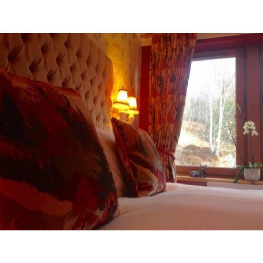Highland Bear Lodge & Luxury Bear Huts Дръмнадрочит Екстериор снимка