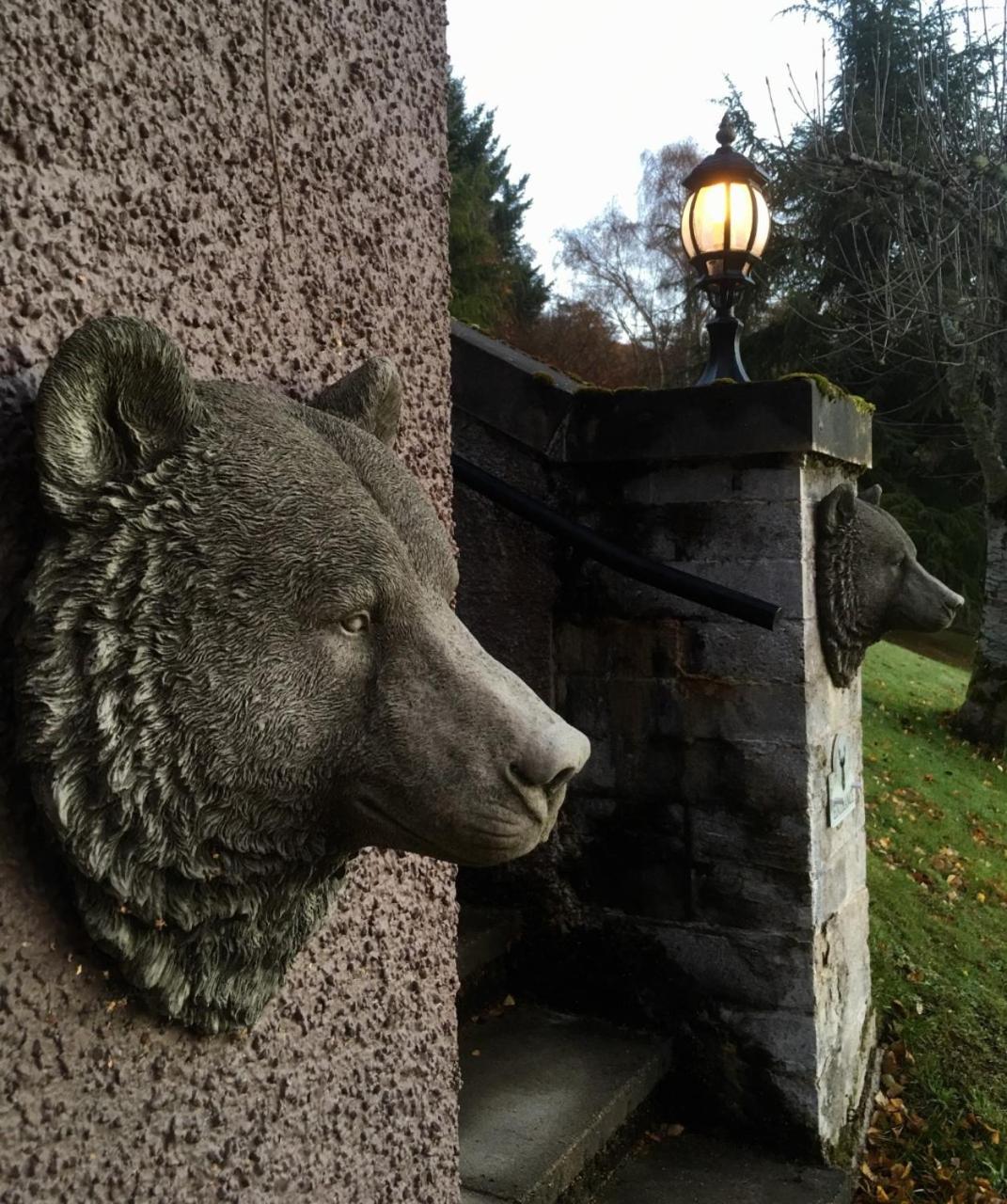 Highland Bear Lodge & Luxury Bear Huts Дръмнадрочит Екстериор снимка
