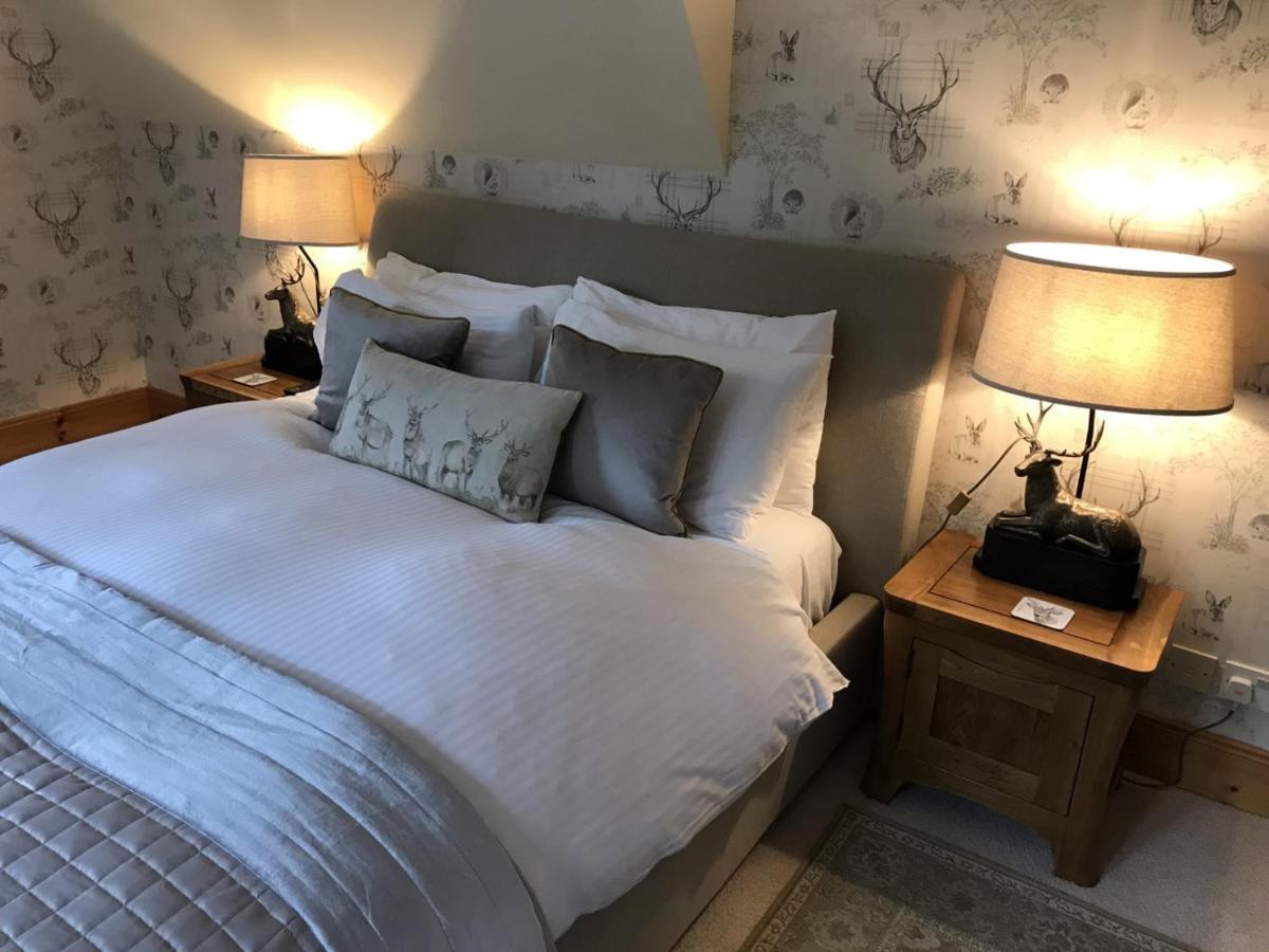 Highland Bear Lodge & Luxury Bear Huts Дръмнадрочит Екстериор снимка