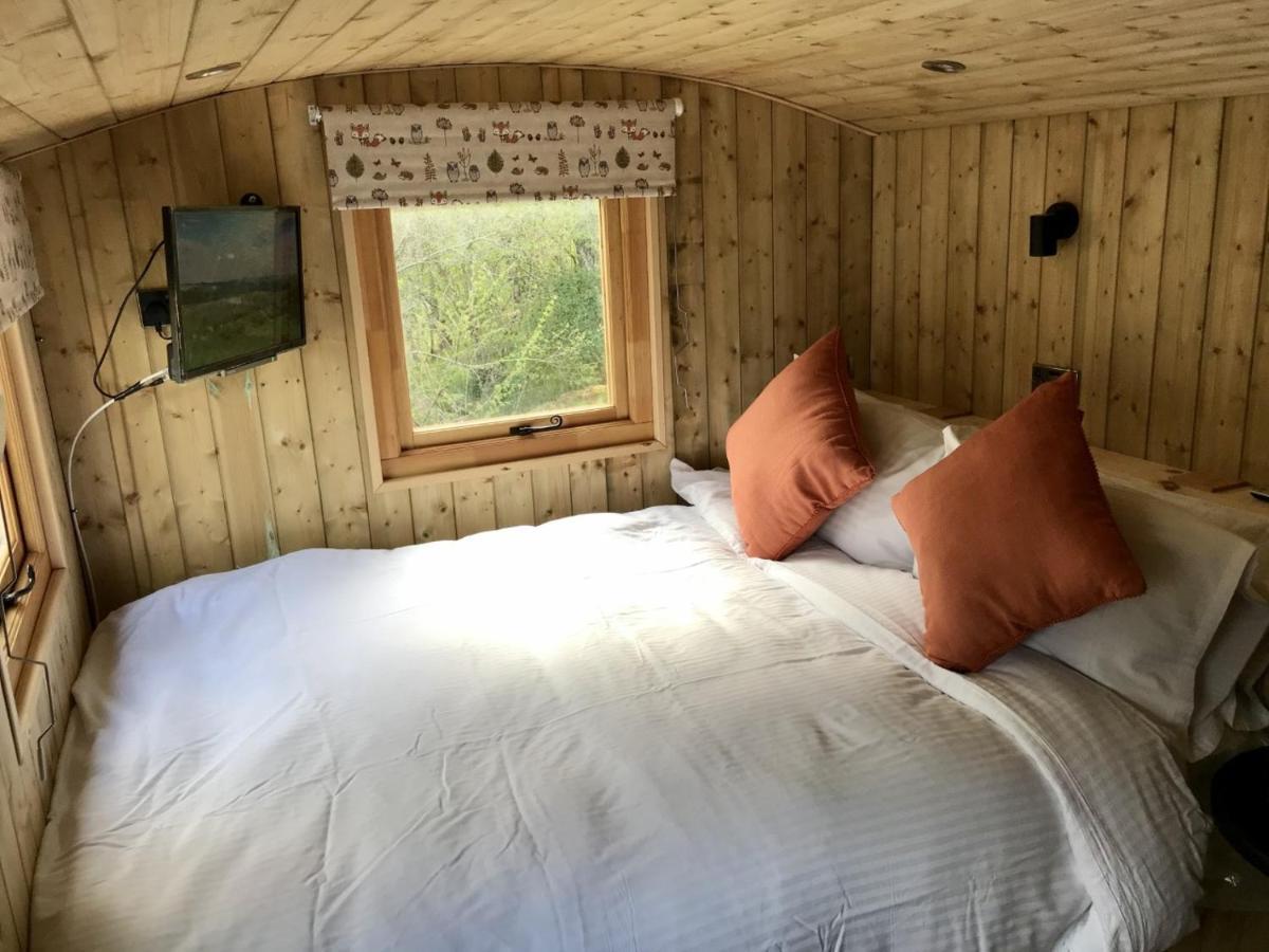 Highland Bear Lodge & Luxury Bear Huts Дръмнадрочит Екстериор снимка